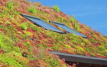 Marsh End living roof systems