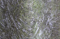 Marsh End fibreglass roof work